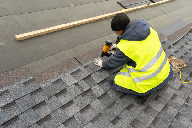 Best Roof Gutter Cleaning  in South Rockwood, MI