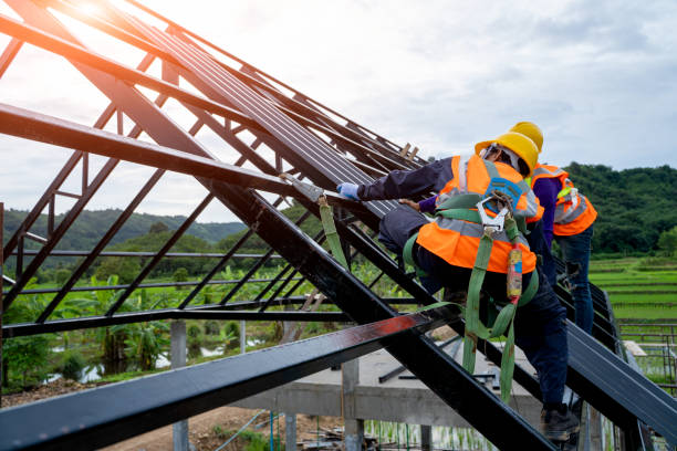 Best Shingle Roofing Installation  in South Rockwood, MI