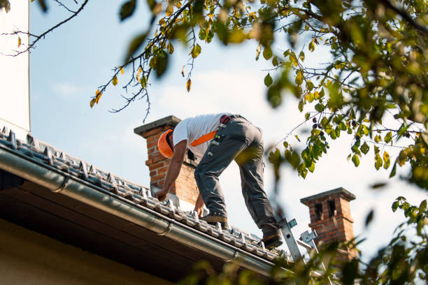 Best Local Roofing Companies  in South Rockwood, MI