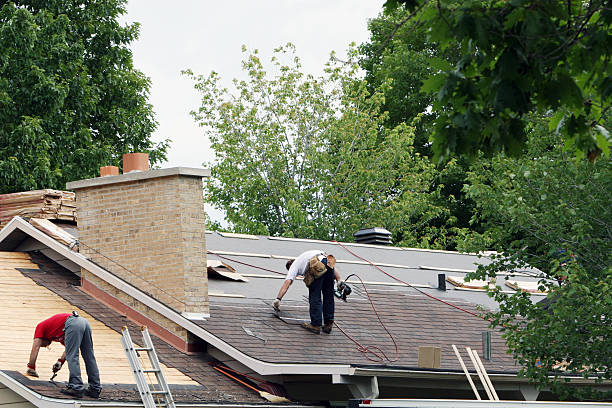Best Best Roofing Contractors  in South Rockwood, MI