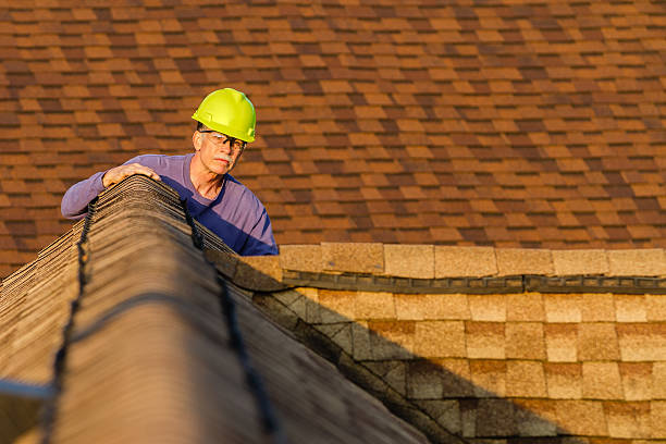 Best Roofing Contractor Near Me  in South Rockwood, MI