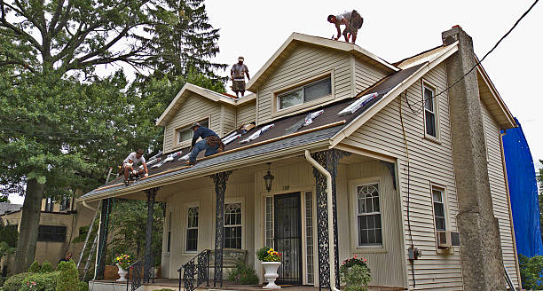 Best Roof Waterproofing Services  in South Rockwood, MI