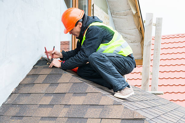 Best Roof Restoration Services  in South Rockwood, MI