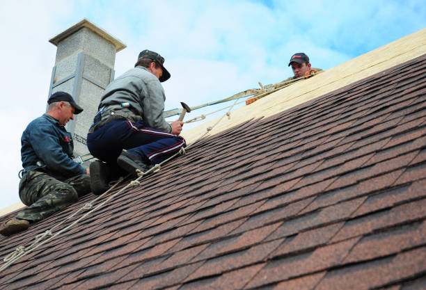 Best Commercial Roofing Services  in South Rockwood, MI